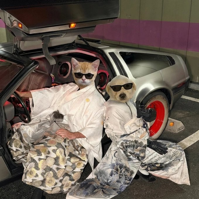 El Gato DeLorean