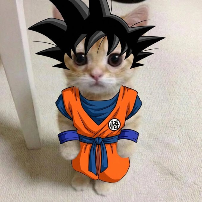 El Gato Goku