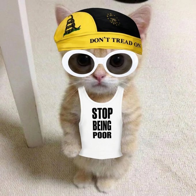 Stop Being Poor cat